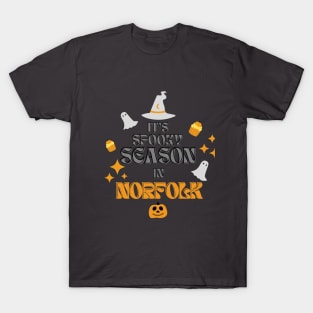 It's Spooky Season in Norfolk T-Shirt